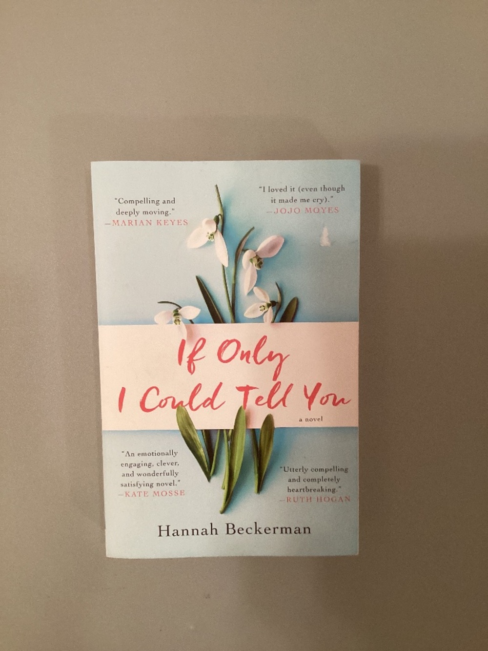 If Only I Could Tell You by Hannah Beckerman - Literary Fiction Novel